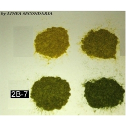 Erba alta 0,6 mm primavera/estate