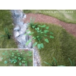 Piante Acquatiche 1