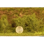 CESPUGLI foglia micro (15 pz.) h. 3 cm. circa - verde betulla 