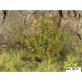 CESPUGLI foglia piccola (15 pz.) h. 3 cm. circa - verde savana 
