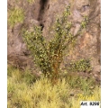 CESPUGLI FIORITI (15 pz.) altezza 3 cm. circa - uvaspina 
